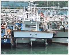  2025Ÿ477   ű        ڰ