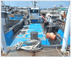  2025Ÿ477   ű        ڰ