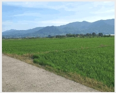  2025Ÿ��519  ����