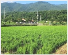  2025Ÿ��519  ����