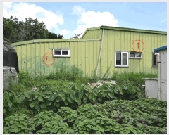  2025Ÿ��531 ���� ���ﱺ ���θ� ���̸� 40      ������