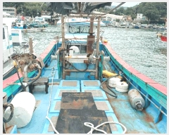  2025Ÿ537  ۵         ڰ