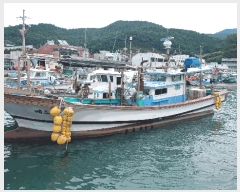  2025Ÿ537  ۵         ڰ