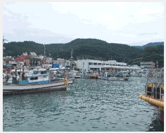  2025Ÿ537  ۵         ڰ