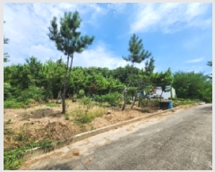  2025Ÿ��543 ���� ��õ�� �ط�� ������ ��85-6      ����(�Ӿ�)���