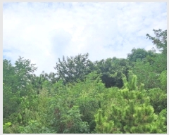  2025Ÿ��543 ���� ��õ�� �ط�� ������ ��85-6      ����(�Ӿ�)���