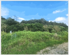  2025Ÿ��567 ���� ��õ�� ��뵿 1401       ����(��1)���