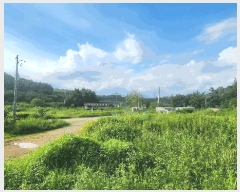  2025Ÿ��567 ���� ��õ�� ��뵿 1401       ����(��1)���