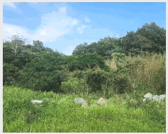  2025Ÿ��567 ���� ��õ�� ��뵿 1401       ����(��1)���