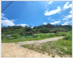  2025Ÿ��567 ���� ��õ�� ��뵿 1401       ����(��1)���