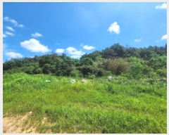  2025Ÿ��567 ���� ��õ�� ��뵿 1401       ����(��1)���