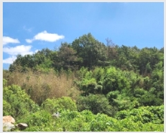  2025Ÿ��567 ���� ��õ�� ��뵿 1401       ����(��1)���