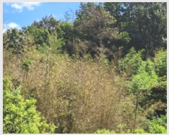  2025Ÿ��567 ���� ��õ�� ��뵿 1401       ����(��1)���