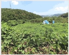  2025Ÿ��573 ���� ������ ���̸� ����� 1445      ����(��1)���