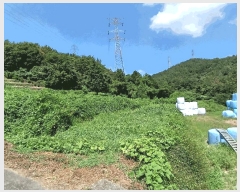  2025Ÿ��573 ���� ������ ���̸� ����� 1445      ����(��1)���