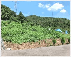  2025Ÿ��573 ���� ������ ���̸� ����� 1445      ����(��1)���