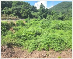  2025Ÿ��573 ���� ������ ���̸� ����� 1445      ����(��1)���