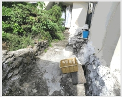  2025Ÿ��603 ���� ������ �߾ӵ� 148       ����(����)���