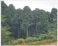  2025Ÿ��639  �Ӿ߰��