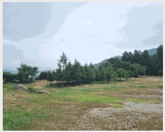  2025Ÿ��639  �Ӿ߰��