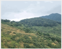  2025Ÿ��639  �Ӿ߰��