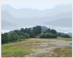  2025Ÿ��639  �Ӿ߰��