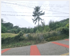  2025Ÿ��639  �Ӿ߰��