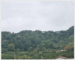  2025Ÿ��639  �Ӿ߰��