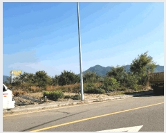  2025Ÿ��692  �������