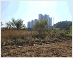  2025Ÿ��692  �������