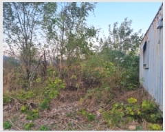  2025Ÿ��692  �������