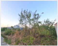  2025Ÿ��692  �������