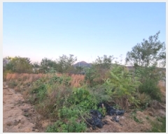  2025Ÿ��692  �������