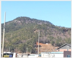  2025Ÿ50206   ȭ  54-15      (Ӿ)