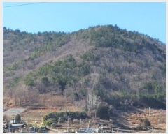  2025Ÿ50206   ȭ  54-15      (Ӿ)