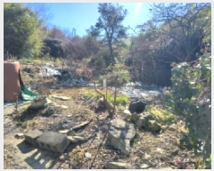  2025Ÿ50206   ȭ  54-15      (Ӿ)