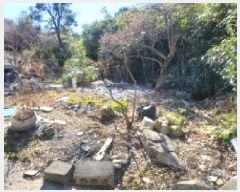  2025Ÿ50206   ȭ  54-15      (Ӿ)