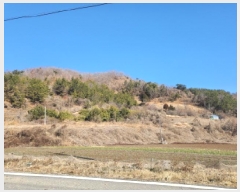  2025Ÿ50206   ȭ  54-15      (Ӿ)