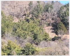  2025Ÿ50206   ȭ  54-15      (Ӿ)