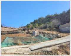  2025Ÿ50206   ȭ  54-15      (Ӿ)