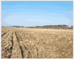  2025Ÿ��50787  ����