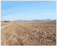  2025Ÿ��50787  ����