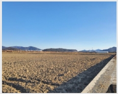  2025Ÿ��50787  ����