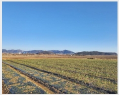  2025Ÿ��50787  ����