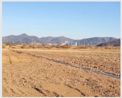  2025Ÿ��50787  ����