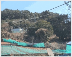  2025Ÿ50848    Ⱦ 149      (1)