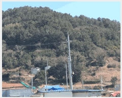  2025Ÿ50848    Ⱦ 149      (1)