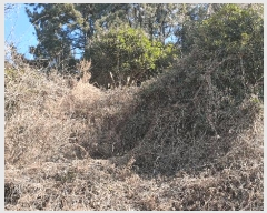  2025Ÿ50848    Ⱦ 149      (1)