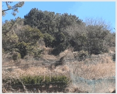  2025Ÿ50848    Ⱦ 149      (1)