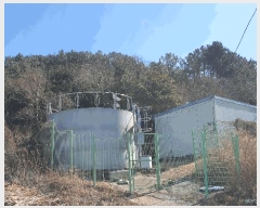  2025Ÿ50848    Ⱦ 149      (1)